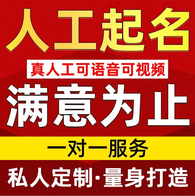  新龙取名/改名 找田老师