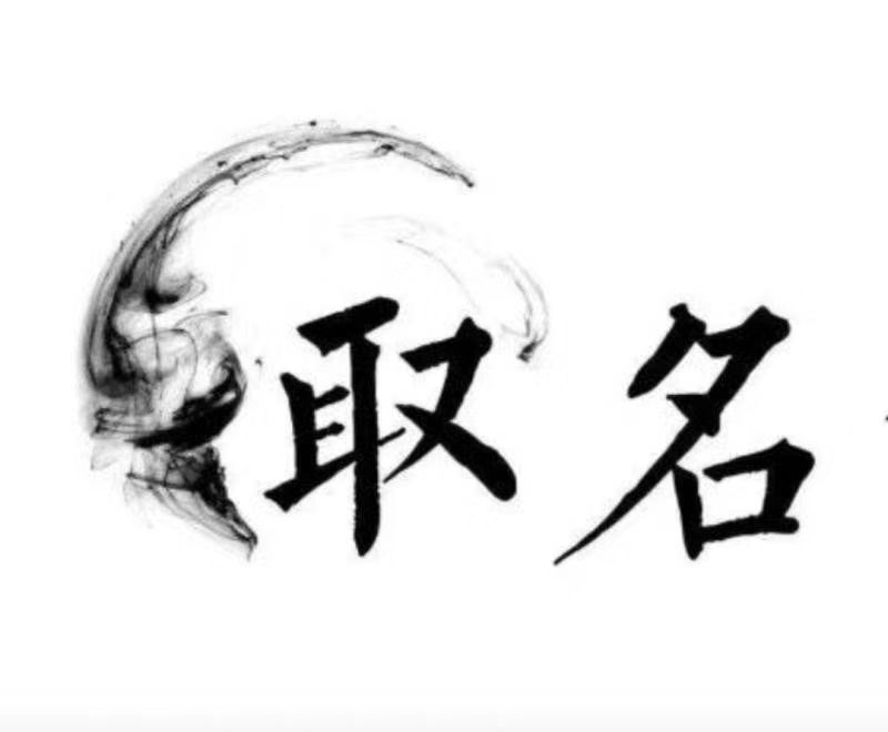  新龙宝宝取名 大师一对一人工起名