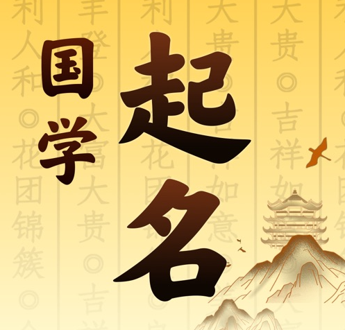 新龙国学起名 人工起名一对一